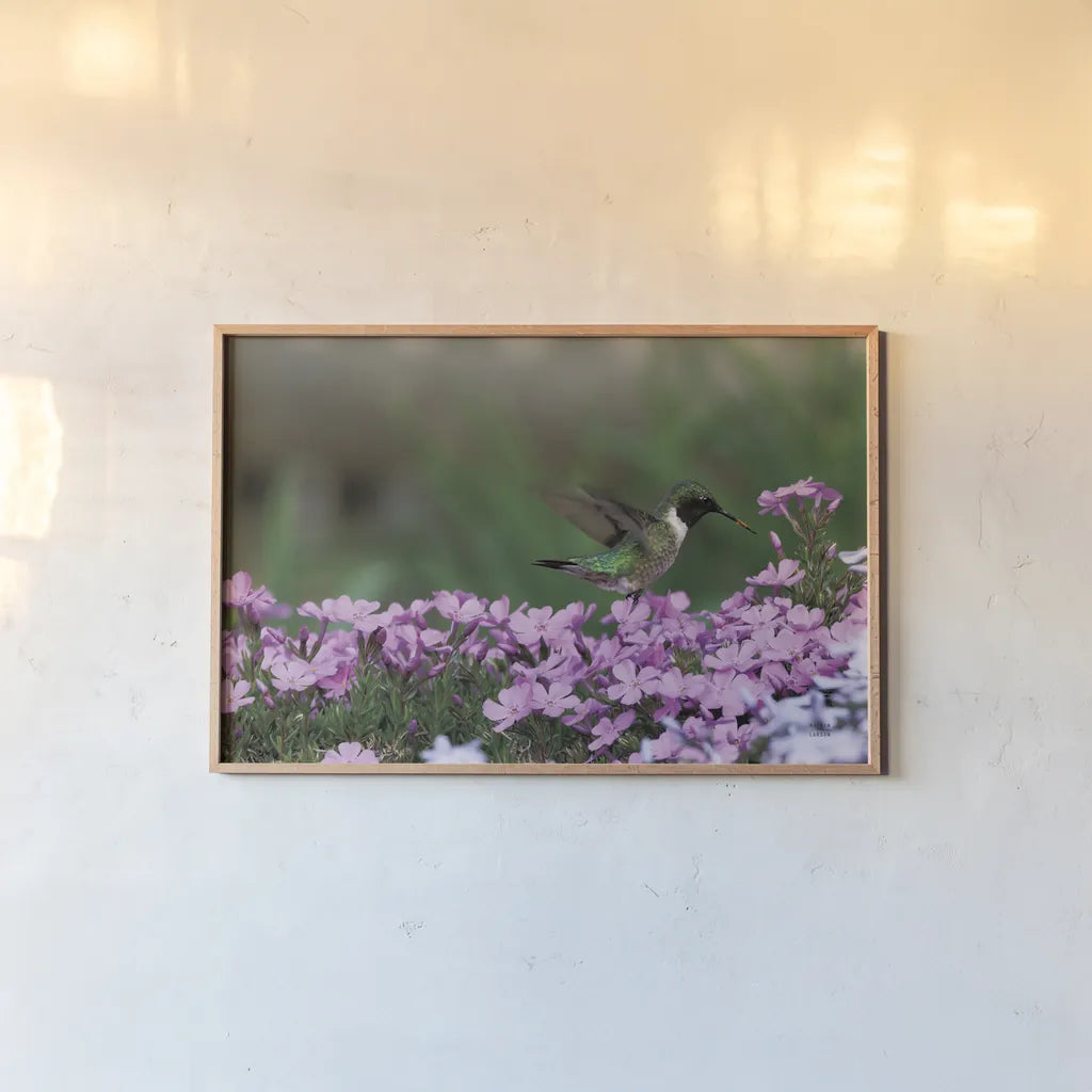 Spring Hummingbird Bright by Nathan Larson. shown as a paper print in a natural frame. Available as a archival giclee rolled canvas, fine art paper, or poster print. SKU 79334i.
