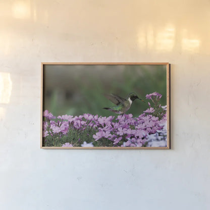 Spring Hummingbird Bright by Nathan Larson. shown as a paper print in a natural frame. Available as a archival giclee rolled canvas, fine art paper, or poster print. SKU 79334i.