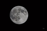 Spring Moon by Nathan Larson. SKU 79405i. Archival Giclee Fine art print for wall decor.