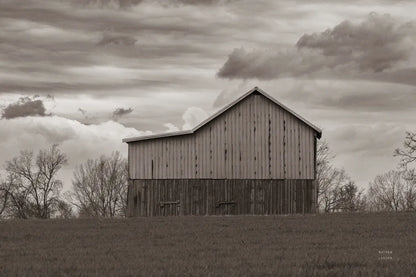 Spring Storms_sepia by Nathan Larson. SKU 98031i. Archival Giclee Fine art print for wall decor.