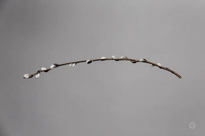 Springtime in the Air by Nathan Larson. SKU 70272i. Archival Giclee Fine art print for wall decor.