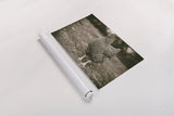 Stand Tall by Nathan Larson. shown as a rolled paper print. Available as archival giclee rolled canvas, fine art paper, or poster print. SKU 97953i.