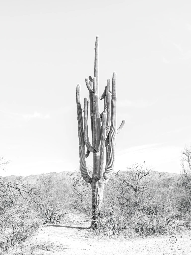 Standing Alone by Nathan Larson