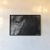 Still by Nathan Larson. shown as a paper print in a black flame. Available as a archival giclee rolled canvas, fine art paper, or poster print. SKU 97584i.