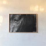 Still by Nathan Larson. shown as a paper print in a natural frame. Available as a archival giclee rolled canvas, fine art paper, or poster print. SKU 97584i.