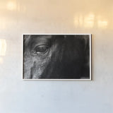 Still by Nathan Larson. shown as a paper print in a white frame. Available as a archival giclee rolled canvas, fine art paper, or poster print. SKU 97584i.