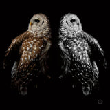 Still a Life by Nathan Larson. SKU 74414a. Archival Giclee Fine art print for wall decor.