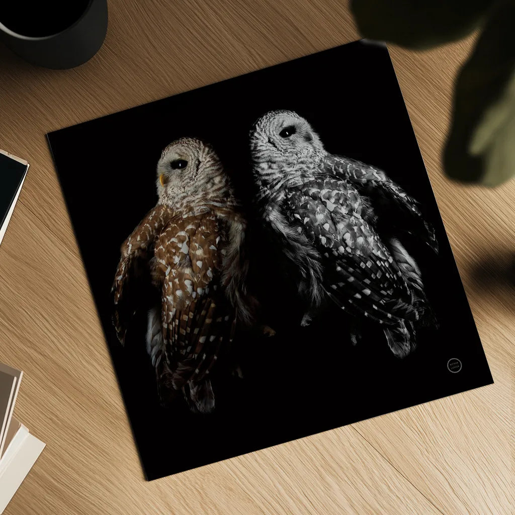 Still a Life by Nathan Larson. Shown as a detailed flat fine art print, highlighting archival giclee quality. Available as an archival giclee rolled canvas, fine art paper, or poster print. SKU 74414a.