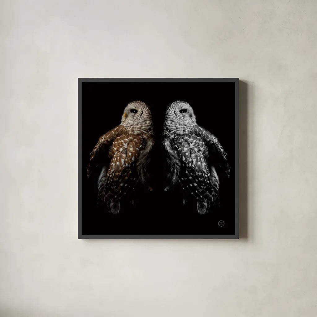 Still a Life by Nathan Larson. Shown in a sleek black glass frame for a contemporary gallery look. Available as an archival giclee rolled canvas, fine art paper, or poster print. SKU 74414a.