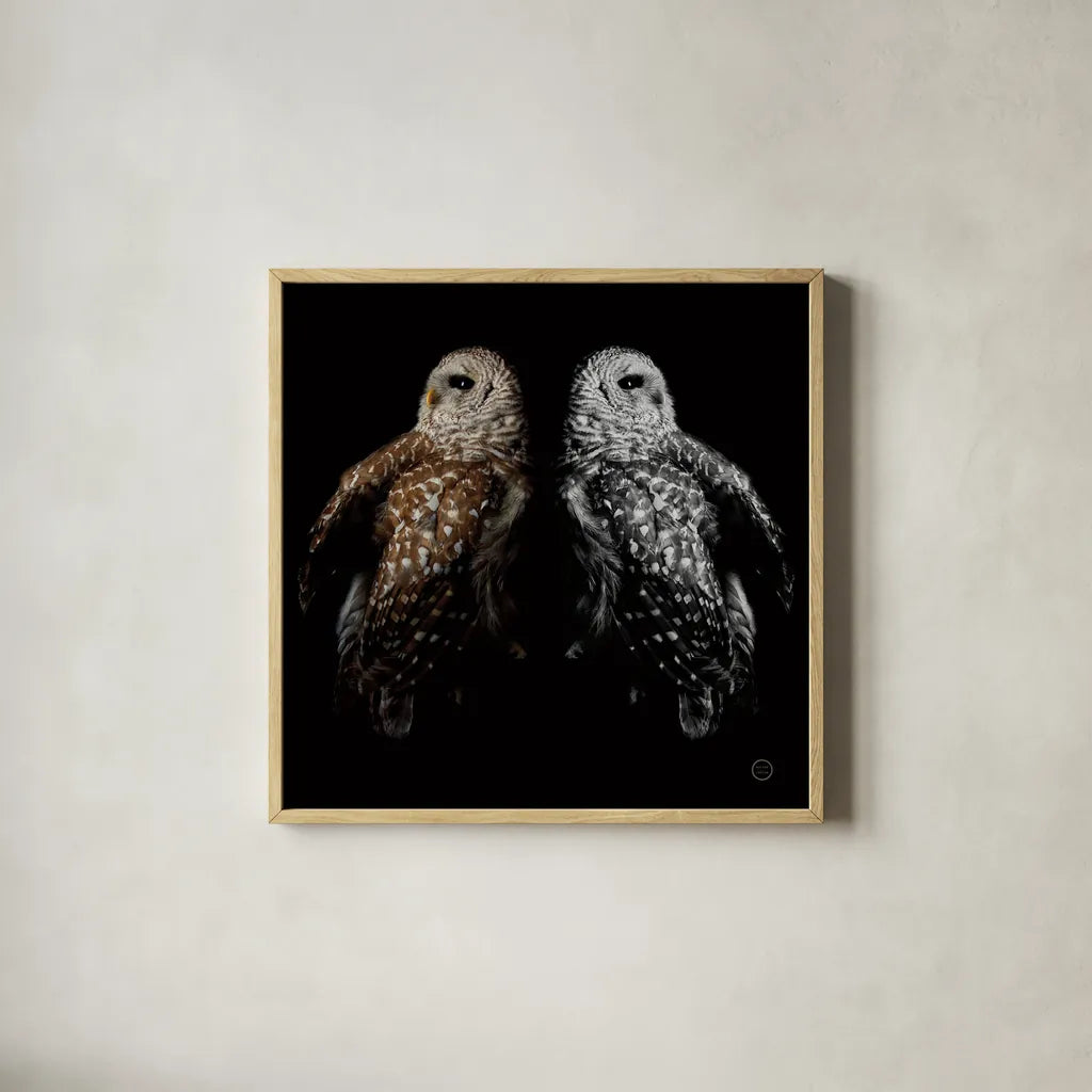 Still a Life by Nathan Larson. Shown in a natural wood glass frame for a timeless modern aesthetic. Available as an archival giclee rolled canvas, fine art paper, or poster print. SKU 74414a.