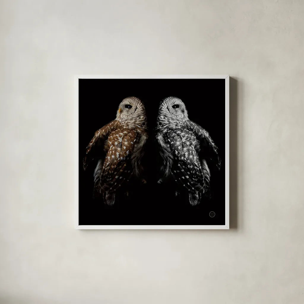 Still a Life by Nathan Larson. Shown in a crisp white glass frame for a clean and minimalist style. Available as an archival giclee rolled canvas, fine art paper, or poster print. SKU 74414a.