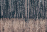 Stitched by Nathan Larson. SKU 97537i. Archival Giclee Fine art print for wall decor.