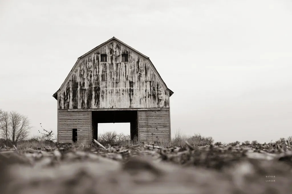 Stormy Midwest Spring by Nathan Larson. SKU 98509i. Archival Giclee Fine art print for wall decor.