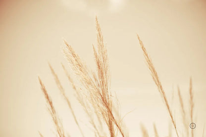 Summer Fields by Nathan Larson. SKU 75475i. Archival Giclee Fine art print for wall decor.