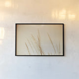 Summer Fields by Nathan Larson. shown as a paper print in a black flame. Available as a archival giclee rolled canvas, fine art paper, or poster print. SKU 75475i.