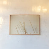 Summer Fields by Nathan Larson. shown as a paper print in a natural frame. Available as a archival giclee rolled canvas, fine art paper, or poster print. SKU 75475i.