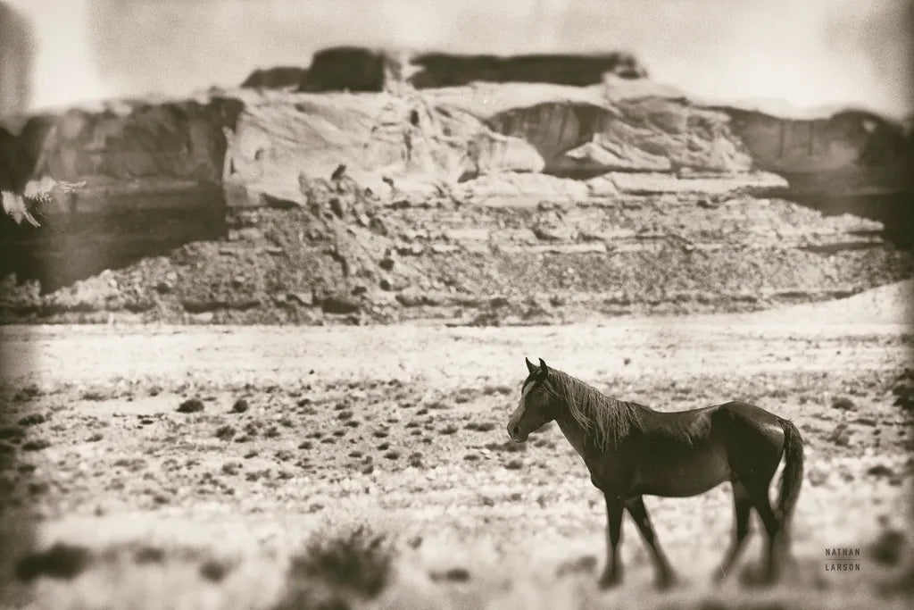 Summer Range by Nathan Larson. SKU 87105i. Archival Giclee Fine art print for wall decor.