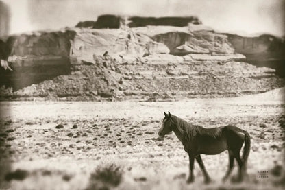 Summer Range by Nathan Larson. SKU 87105i. Archival Giclee Fine art print for wall decor.