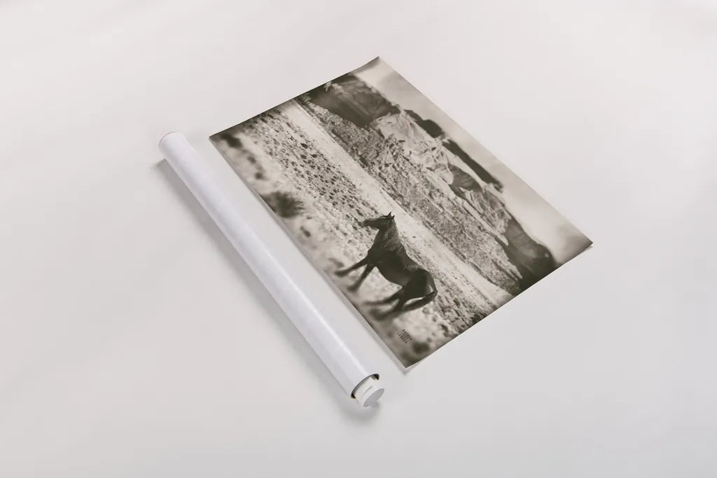 Summer Range by Nathan Larson. shown as a rolled paper print. Available as archival giclee rolled canvas, fine art paper, or poster print. SKU 87105i.