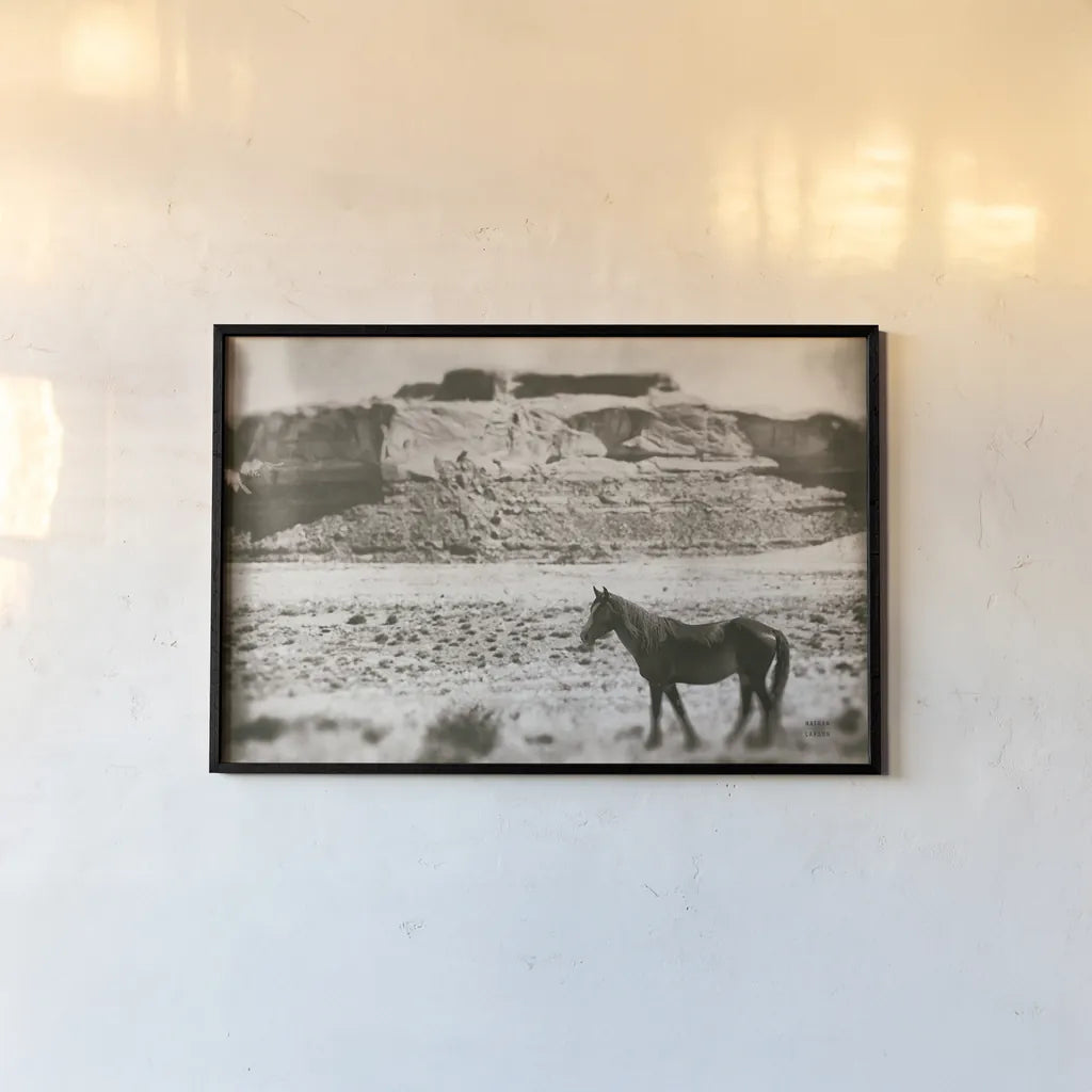 Summer Range by Nathan Larson. shown as a paper print in a black flame. Available as a archival giclee rolled canvas, fine art paper, or poster print. SKU 87105i.