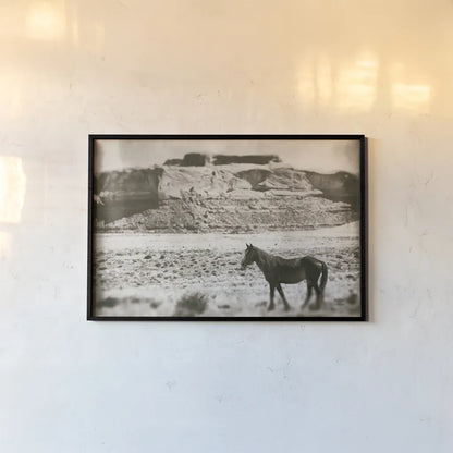 Summer Range by Nathan Larson. shown as a paper print in a black flame. Available as a archival giclee rolled canvas, fine art paper, or poster print. SKU 87105i.