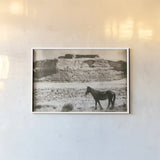 Summer Range by Nathan Larson. shown as a paper print in a white frame. Available as a archival giclee rolled canvas, fine art paper, or poster print. SKU 87105i.