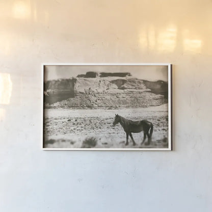 Summer Range by Nathan Larson. shown as a paper print in a white frame. Available as a archival giclee rolled canvas, fine art paper, or poster print. SKU 87105i.