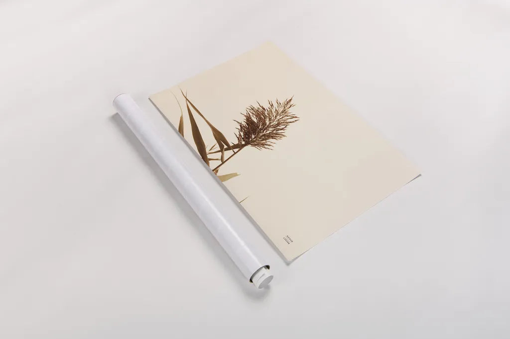 Summer Reeds I by Nathan Larson. shown as a rolled paper print. Available as archival giclee rolled canvas, fine art paper, or poster print. SKU 76204i.
