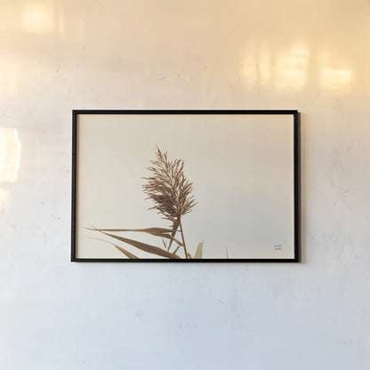 Summer Reeds I by Nathan Larson. shown as a paper print in a black flame. Available as a archival giclee rolled canvas, fine art paper, or poster print. SKU 76204i.