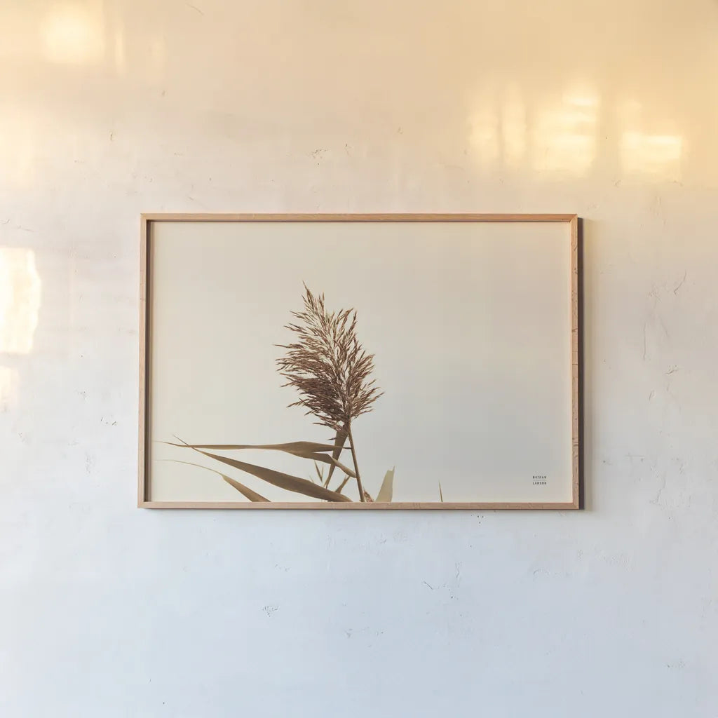 Summer Reeds I by Nathan Larson. shown as a paper print in a natural frame. Available as a archival giclee rolled canvas, fine art paper, or poster print. SKU 76204i.