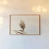 Summer Reeds I by Nathan Larson. shown as a paper print in a natural frame. Available as a archival giclee rolled canvas, fine art paper, or poster print. SKU 76204i.