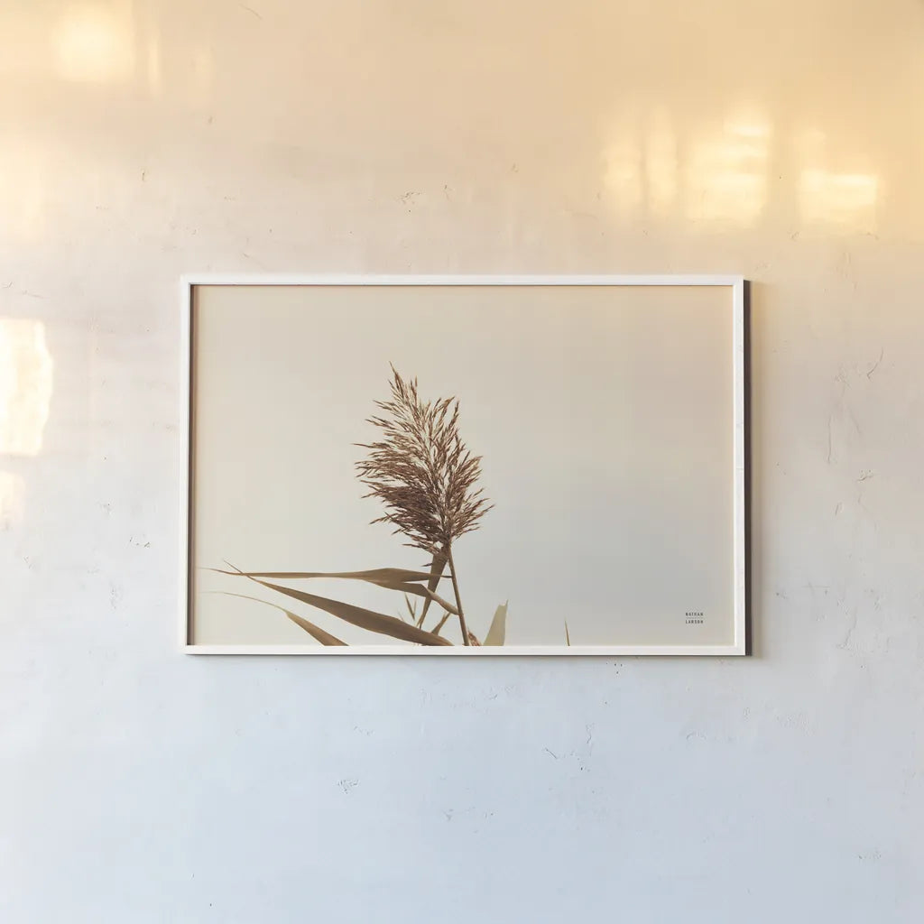 Summer Reeds I by Nathan Larson. shown as a paper print in a white frame. Available as a archival giclee rolled canvas, fine art paper, or poster print. SKU 76204i.