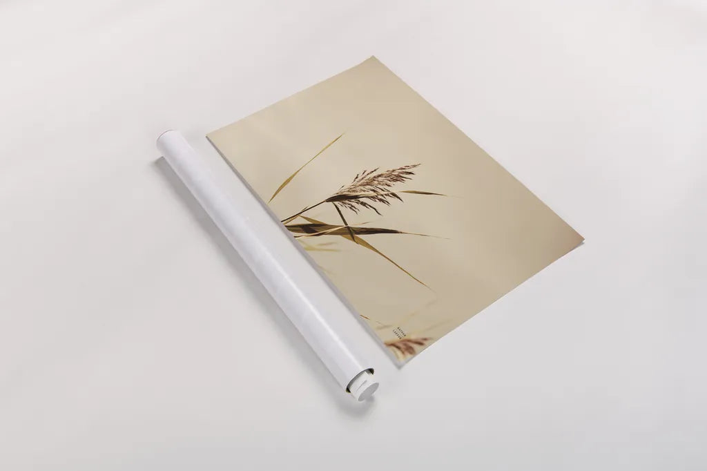 Summer Reeds II by Nathan Larson. shown as a rolled paper print. Available as archival giclee rolled canvas, fine art paper, or poster print. SKU 76205i.