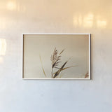 Summer Reeds II by Nathan Larson. shown as a paper print in a white frame. Available as a archival giclee rolled canvas, fine art paper, or poster print. SKU 76205i.