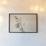 Summer Reeds III by Nathan Larson. shown as a paper print in a black flame. Available as a archival giclee rolled canvas, fine art paper, or poster print. SKU 76206i.