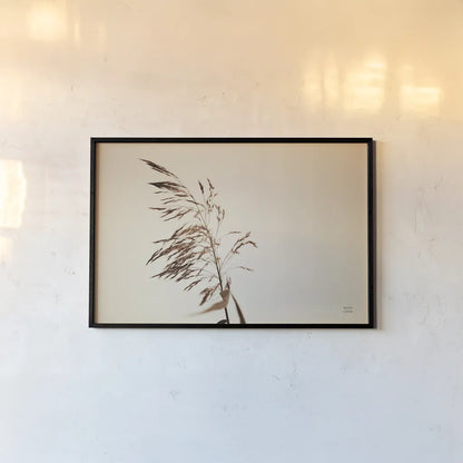 Summer Reeds III by Nathan Larson. shown as a paper print in a black flame. Available as a archival giclee rolled canvas, fine art paper, or poster print. SKU 76206i.