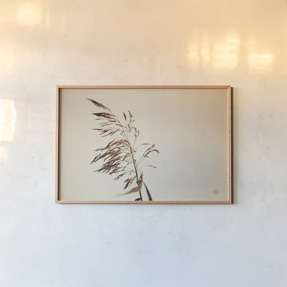 Summer Reeds III by Nathan Larson. shown as a paper print in a natural frame. Available as a archival giclee rolled canvas, fine art paper, or poster print. SKU 76206i.