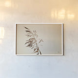 Summer Reeds III by Nathan Larson. shown as a paper print in a white frame. Available as a archival giclee rolled canvas, fine art paper, or poster print. SKU 76206i.