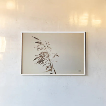 Summer Reeds III by Nathan Larson. shown as a paper print in a white frame. Available as a archival giclee rolled canvas, fine art paper, or poster print. SKU 76206i.
