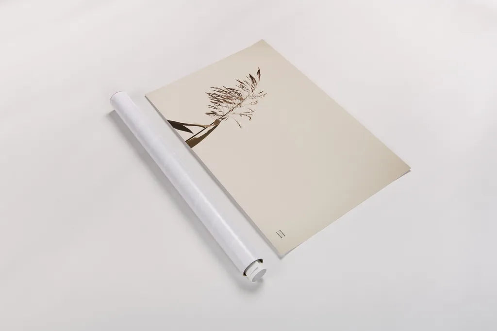 Summer Reeds IV by Nathan Larson. shown as a rolled paper print. Available as archival giclee rolled canvas, fine art paper, or poster print. SKU 76207i.