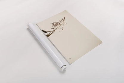 Summer Reeds IV by Nathan Larson. shown as a rolled paper print. Available as archival giclee rolled canvas, fine art paper, or poster print. SKU 76207i.