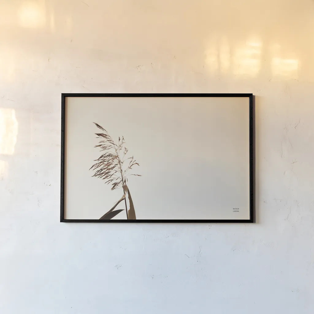 Summer Reeds IV by Nathan Larson. shown as a paper print in a black flame. Available as a archival giclee rolled canvas, fine art paper, or poster print. SKU 76207i.