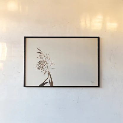 Summer Reeds IV by Nathan Larson. shown as a paper print in a black flame. Available as a archival giclee rolled canvas, fine art paper, or poster print. SKU 76207i.