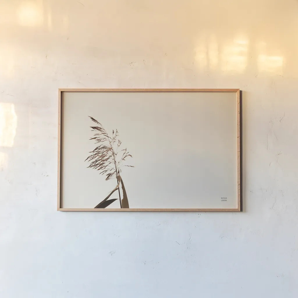 Summer Reeds IV by Nathan Larson. shown as a paper print in a natural frame. Available as a archival giclee rolled canvas, fine art paper, or poster print. SKU 76207i.