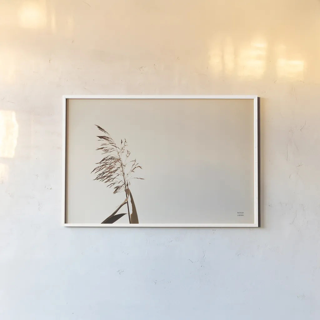 Summer Reeds IV by Nathan Larson. shown as a paper print in a white frame. Available as a archival giclee rolled canvas, fine art paper, or poster print. SKU 76207i.