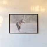 Sunny Field I by Nathan Larson. shown as a paper print in a black flame. Available as a archival giclee rolled canvas, fine art paper, or poster print. SKU 97356i.