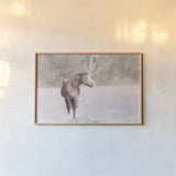 Sunny Field I by Nathan Larson. shown as a paper print in a natural frame. Available as a archival giclee rolled canvas, fine art paper, or poster print. SKU 97356i.