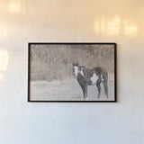 Sunny Field II by Nathan Larson. shown as a paper print in a black flame. Available as a archival giclee rolled canvas, fine art paper, or poster print. SKU 97357i.