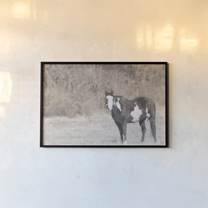 Sunny Field II by Nathan Larson. shown as a paper print in a black flame. Available as a archival giclee rolled canvas, fine art paper, or poster print. SKU 97357i.