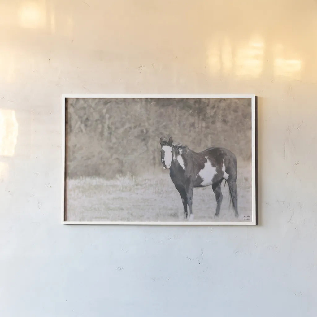 Sunny Field II by Nathan Larson. shown as a paper print in a white frame. Available as a archival giclee rolled canvas, fine art paper, or poster print. SKU 97357i.